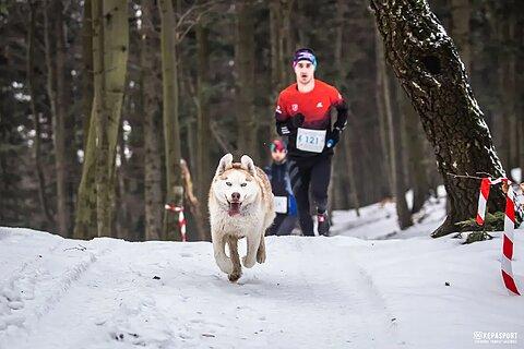 Krzysztof während Pogórzański Bieg Górski - Zima 2024