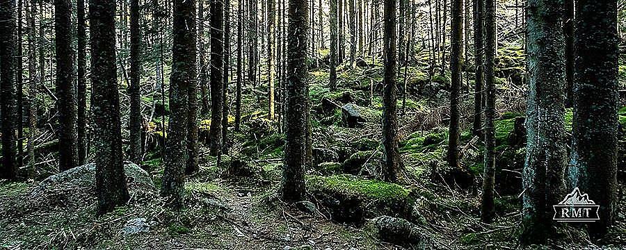 Październik 310k 2022